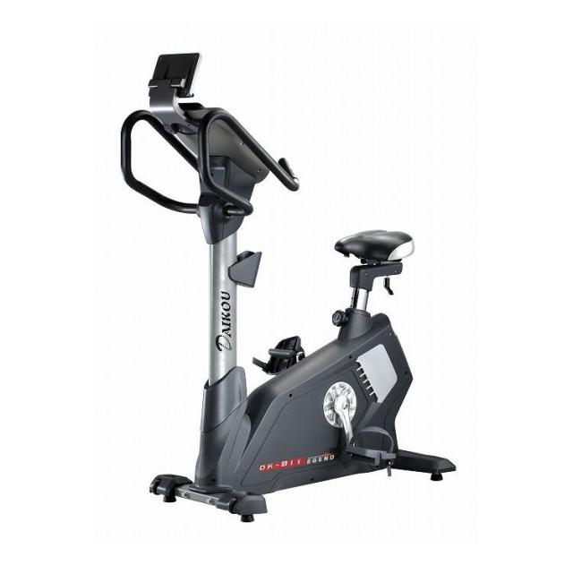 ダイコー(DAIKOU) フィットネスバイク マグネット式 手動8段階負荷