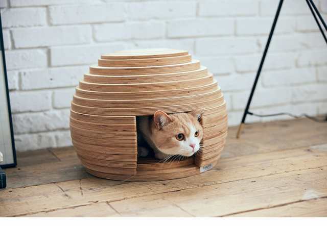 フランスペット ねこハウス まり PE05 ボール型のユニークな猫ハウス キャットハウス ペットハウス ペット家具 フランスベッド(代引不可)【送料無料】の通販は