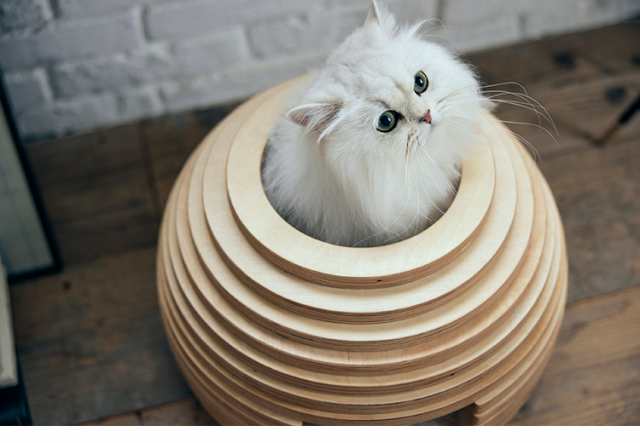 フランスペット ねこハウス まり PE05 ボール型のユニークな猫ハウス キャットハウス ペットハウス ペット家具 フランスベッド(代引不可)【送料無料】の通販は