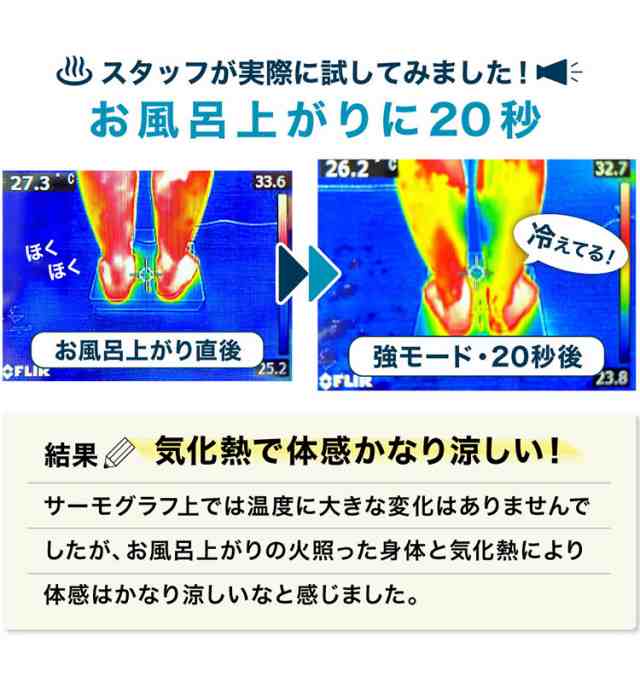 乗れる扇風機 　 サンコー