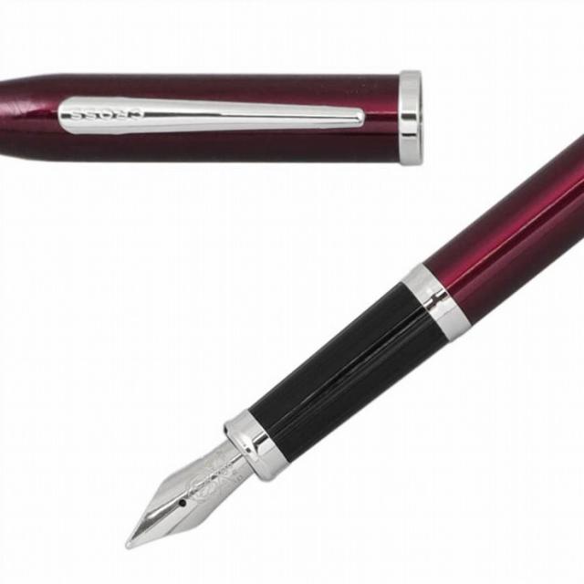 CENTURY2 センチュリー2 AT0086-114 トランスルーセントプラムラッカー 万年筆 ペン先 M 中字 おしゃれ プレゼント 贈り物 祝い品【送料_2