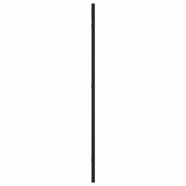 vidaXL ウォールミラー ブラック 40x80 cm 長方形 アイアン ホーム&ガーデン デコレーション 鏡(代引不可)【送料無料】