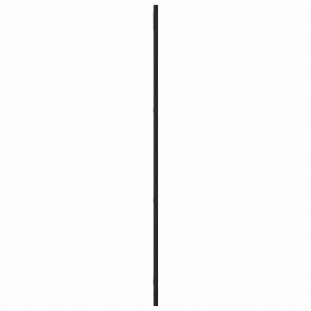 vidaXL ウォールミラー ブラック 30x100 cm 長方形 鉄製ホーム&ガーデン デコレーション 鏡(代引不可)【送料無料】