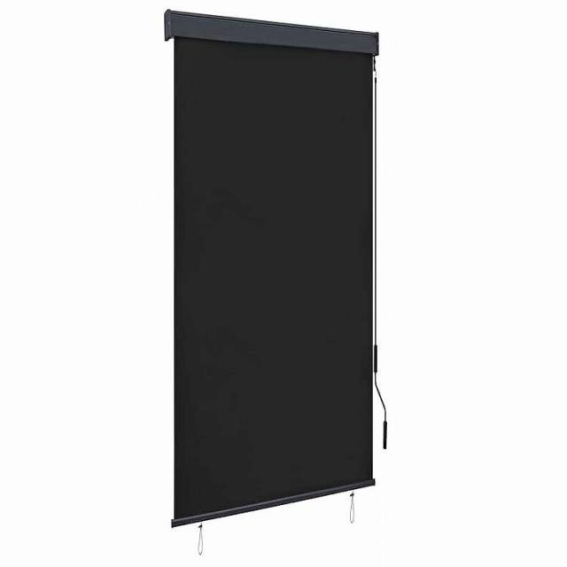 vidaXL 屋外用ローラーブラインド 100x250cm アントラシートホーム&ガーデン デコレーション 窓用品 ブラインド・シェードアントラシート(代引不可)【送料無料】
