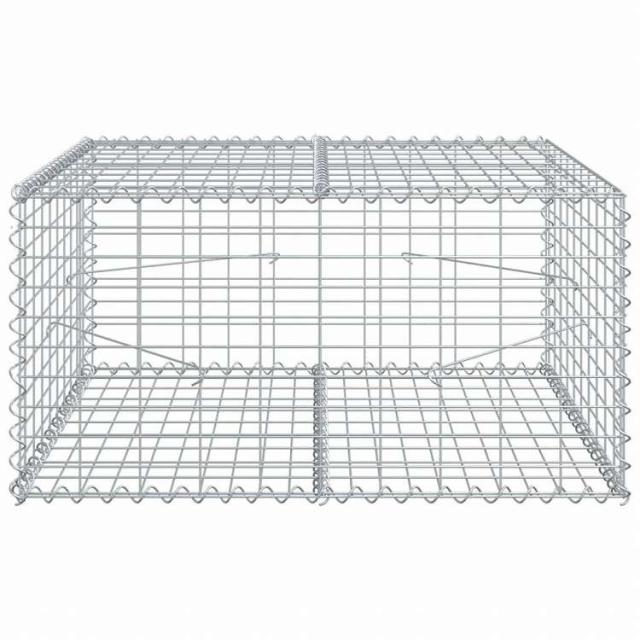 vidaXL 蛇籠バスケット カバー付き 100x100x50cm 亜鉛メッキ鉄ホーム&ガーデン 芝&ガーデン ガーデニング 鉢植え・プランター(代引不可)【送料無料】_2