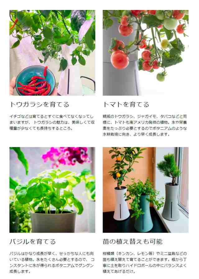 スマート水耕栽培キット ボタニアム 野菜 華 花 植物 飼育 部屋 家 料理 育てる 栽培 花瓶 植木 植木鉢 おしゃれ スマート 送料無料 の通販はau Pay マーケット リコメン堂