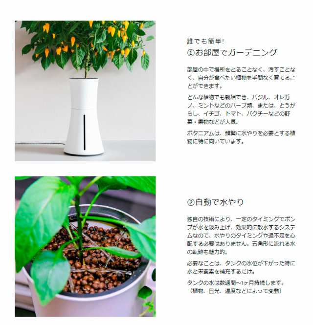 スマート水耕栽培キット ボタニアム 野菜 華 花 植物 飼育 部屋 家 料理 育てる 栽培 花瓶 植木 植木鉢 おしゃれ スマート 送料無料 の通販はau Pay マーケット リコメン堂