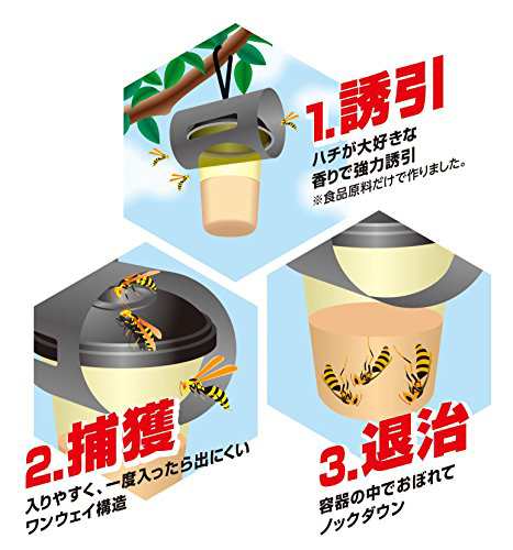 お得！送料無料】単品 フマキラー カダン ハチ駆除剤 激取れ 2個入の