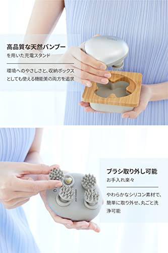 お得！送料無料】グレー [breo] 電動頭皮ブラシ 頭皮ケア 3Dムーブ 竹