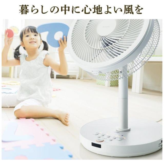 ダッチマン デモンストレーション サカナクション前身バンド