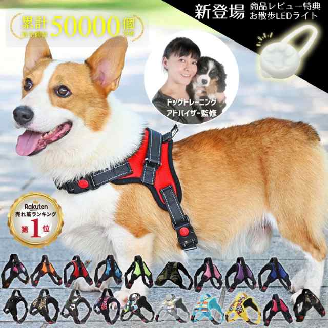 犬 首輪 リード XS 小型犬 かわいい 寒々しく おしゃれ チワワ 犬首輪 赤レッド