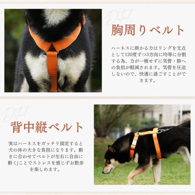 犬 Petselect by Nihonikuji 公式オンラインショップペットセレクト