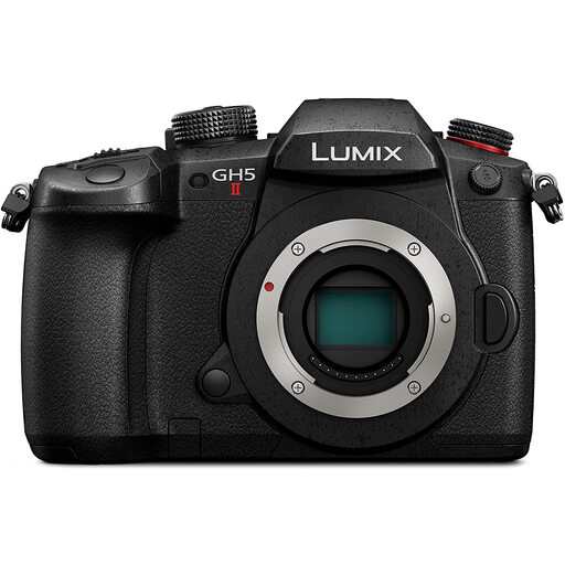Panasonic  ミラーレス一眼カメラ ルミックス レンズキット 標準ズームレンズ付属 ブラック DC-GH5M2Mの通販は 191,824円