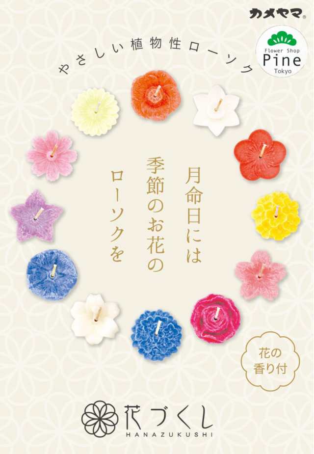 ご進物 花づくし ギフトセット (植物性) ギフト プレゼント ディズニー ...