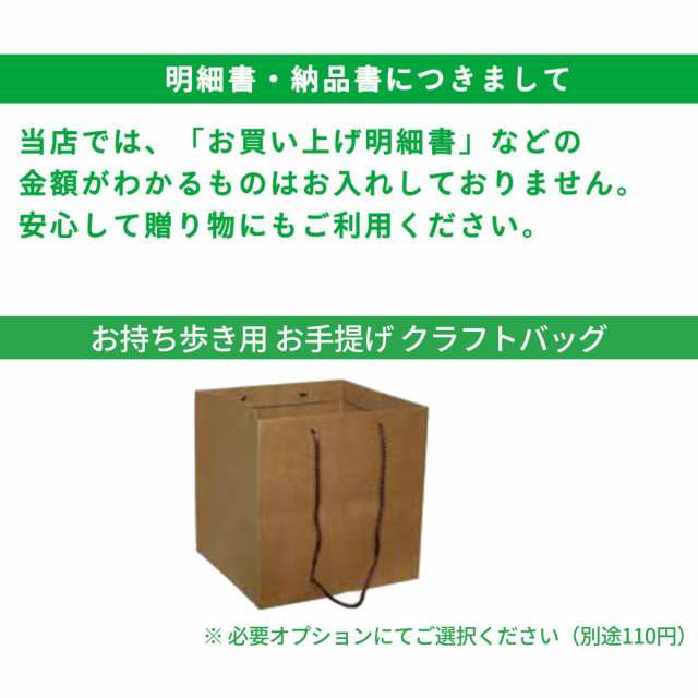 フリージア 花束 卒業式 生花 かすみ草 送料無料 切り花 卒業 式 花