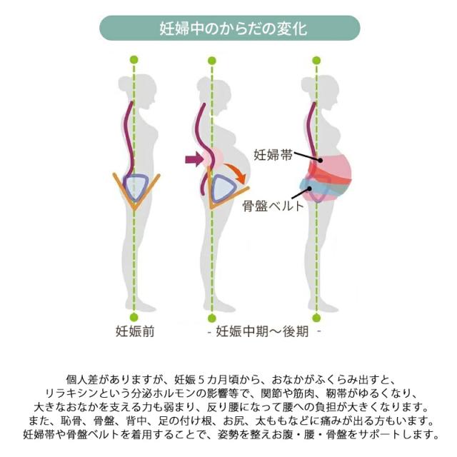 犬印本舗 産後ママの履くだけ骨盤パンツ 公式 ストア