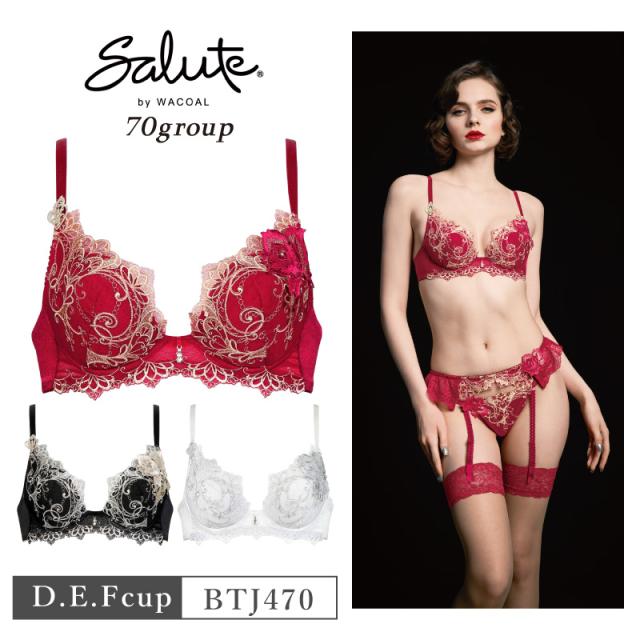 ワコール サルート 70グループ ワコール サルート 70グループ 70G VIVA