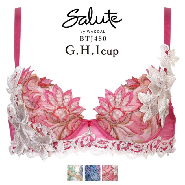 salute サルート ナイトアップブラ 20G 20グループ GR L 30%OFF