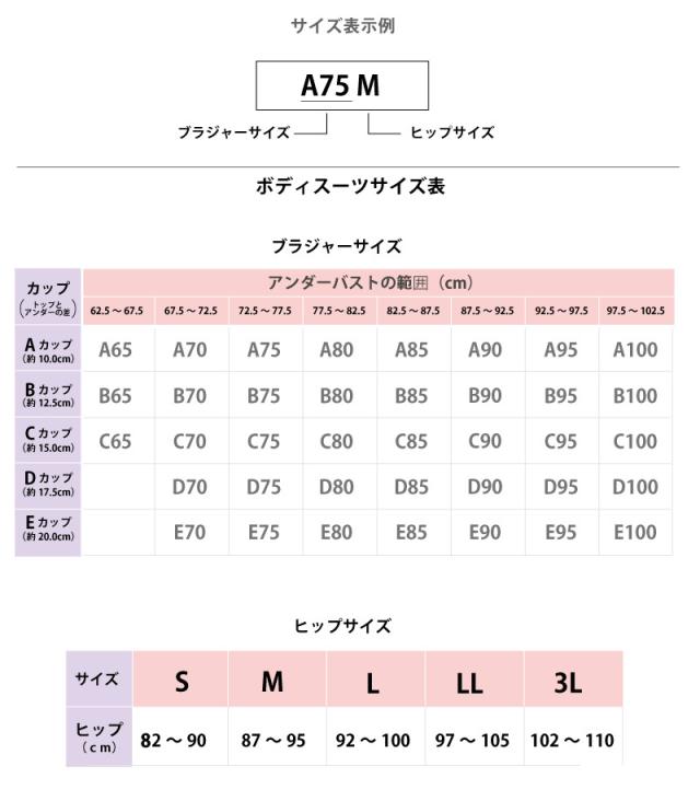 20％OFF ワコール Wacoal エバーシック EverChic ボディスーツ (Bカップ) ワイヤー入り フルカップ 吸汗速乾 ARA420