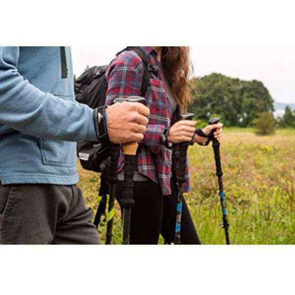 cascade mountain trekking pole costco