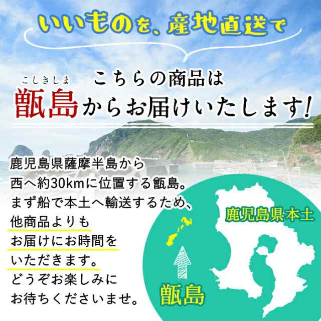 PAY　冷凍　贈答の通販はau　薩摩川内Webショップ『薩摩国』　甑島のきびなご塩干し　干物　マーケット　キビナゴ　こしきしま　ギフト　こしき島　国産　鹿児島産　天日干し　送料無料】　マーケット－通販サイト　au　1kg(500g×2)　塩干　PAY