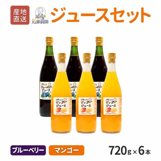 送料無料 鹿児島県産 ジュースセット ( ブルーベリー・マンゴー ) 720g × 各3本 計 6本セット 近藤農園 フルーツジュース ネクター ジ