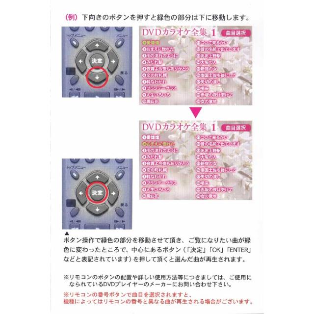新品 DVD カラオケ全集 BOX 40枚組 全800曲 Best Hit Selection (DVD) DKLK-1001-8_11