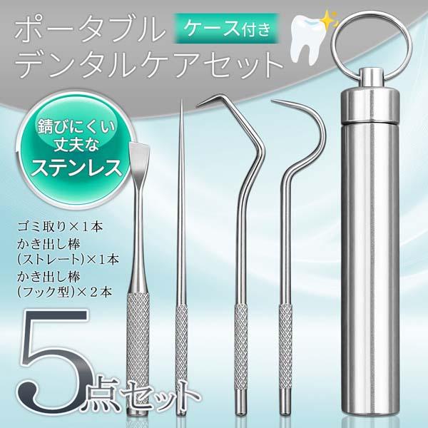 デンタルケアセット 5点セット ステンレス製 デンタルケアツール