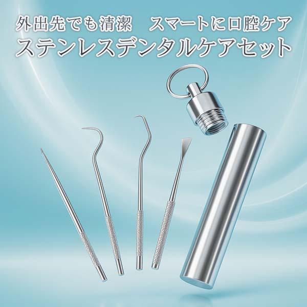 デンタルケアセット 5点セット ステンレス製 デンタルケアツール