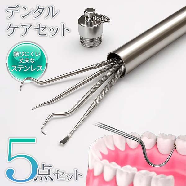 デンタルケアセット 5点セット ステンレス製 デンタルケアツール