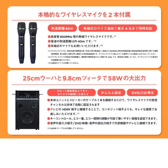 ANABAS DVD-K110 DVD カラオケ システム ブラック 送料無料(沖縄・離島