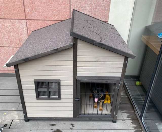 犬舎 犬小屋 屋外ハウス 窓付き 風通し ウッディ犬舎ペットゲージ 木製