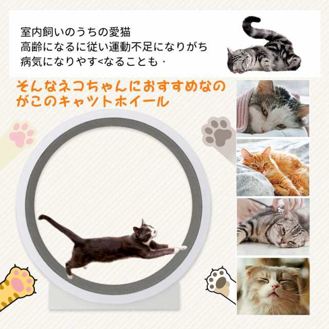 キャットホイール キャットタワー 猫ホイール 回し車 猫 ダイエット