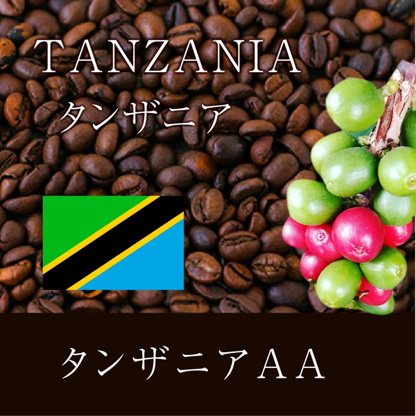 【特価 ２ｋｇ】キリマンジャロ （タンザニア） ＡＡ 焙煎 コーヒー豆 ２ｋｇ（１ｋｇ×２袋） ニシナ屋珈琲 焙煎 コーヒー コーヒー豆 お得 高級 コーヒー 業務用 お徳用_1