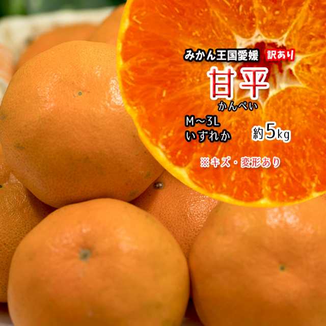 甘平 5kg - 果物