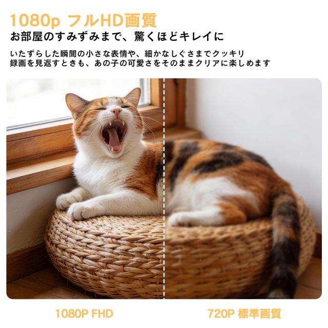 ペットカメラ 見守りカメラ 360度 広角 録画 遠隔 スマホ ベビーモニター 防犯カメラ 暗視 おやつ給餌 通話 ワイヤレス ネットワークカメラ 室内 犬 猫 留守 ペットモニター 高画質 首振り ナイトビジョン 双方向音声 アプリ連携 FHD 赤外線