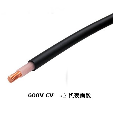 矢崎エナジーシステム 600V CV 8sq 1芯 やわらか電線 600V耐圧電線 架橋ポリエチレン絶縁ビニルシースケーブル  切売10m以上1ｍ単位の通販はau PAY マーケット - 電材BLUEWOOD au PAY マーケット店 | au PAY マーケット－通販サイト