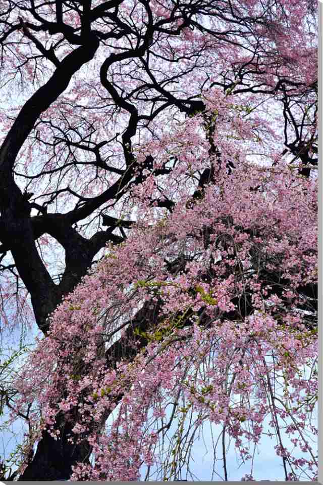 風景風景写真 額装 ウォールアート 壁飾り 壁掛け アート フォト 写真