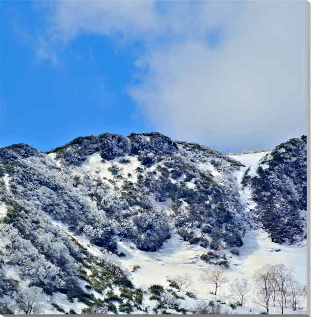 国内正規品 風景写真パネル 福島 箕輪山 霧氷 キャンバス地 アート