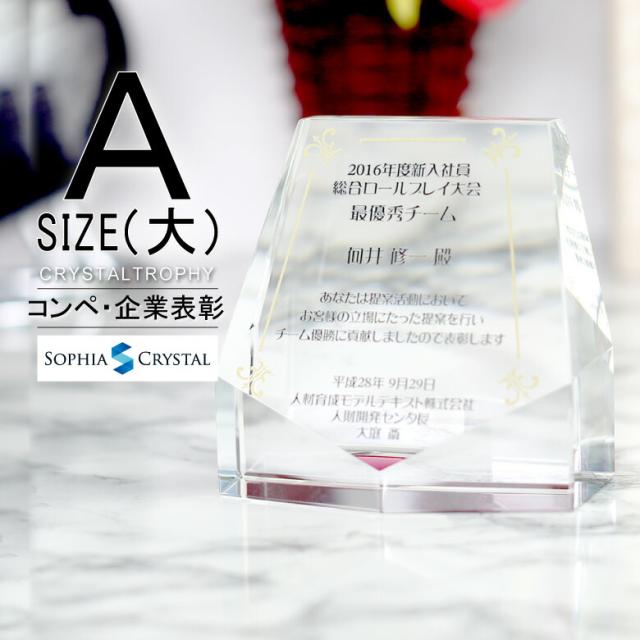 クリスタル トロフィー CR-15A(大) 名入れ 記念品 表彰状 退職記念 周年記念 創立記念 ゴルフコンペ ホールインワン スポーツ大会 イベント 優勝 トロフィ とろふぃ プレゼント ギフト おしゃれの通販は