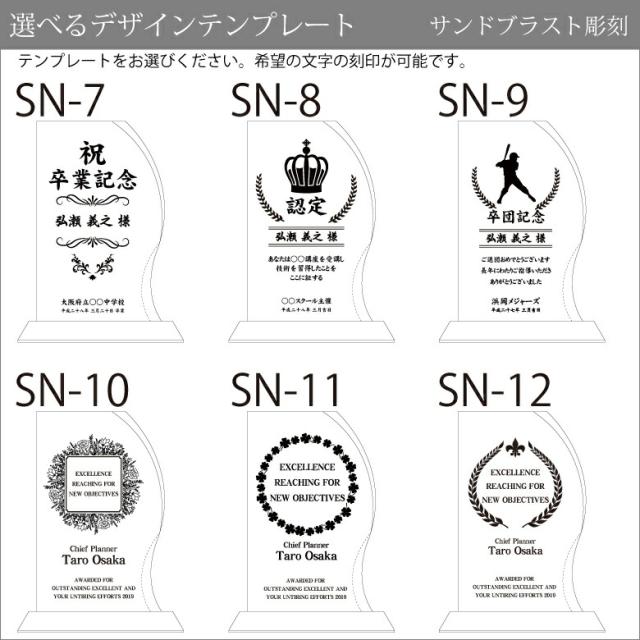 トロフィー クリスタル 盾 DP-11B(中) 名入れ 記念品 表彰状 表彰 盾 表彰楯 卒業 感謝 退職記念 周年記念 創立記念 ゴルフコンペ ホールインワン スポーツ大会 イベント 優勝 トロフィ とろふぃプレゼント ギフト._9