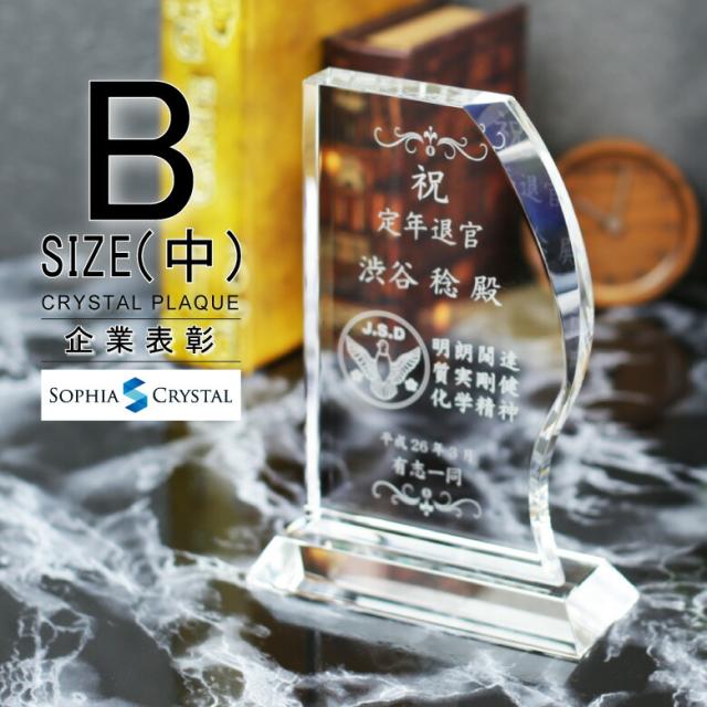トロフィー クリスタル 盾 DP-11B(中) 名入れ 記念品 表彰状 表彰 盾 表彰楯 卒業 感謝 退職記念 周年記念 創立記念 ゴルフコンペ ホールインワン スポーツ大会 イベント 優勝 トロフィ とろふぃプレゼント ギフト.