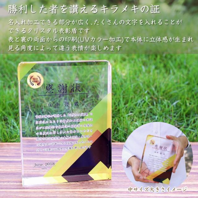 トロフィー クリスタル 盾 DP-17C(小) 名入れ 記念品 表彰状 表彰 盾 表彰楯 卒業 感謝 退職記念 周年記念 創立記念 ゴルフコンペ ホールインワン スポーツ大会 イベント 優勝 トロフィ とろふぃ プレゼント ギフト._1