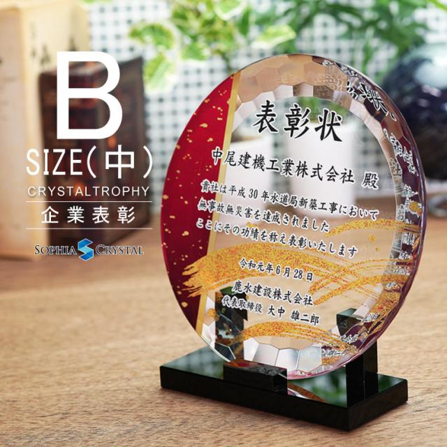 トロフィー クリスタル 盾 DP-20B(中) 名入れ 記念品 表彰状 表彰 盾 表彰楯 卒業 感謝 退職記念 周年記念 創立記念 ゴルフコンペ ホールインワン スポーツ大会 各種イベント 優勝 トロフィ とろふぃ とろふぃー プレゼント ギフト 楽ギフ_名入れ 名入れ記念品.