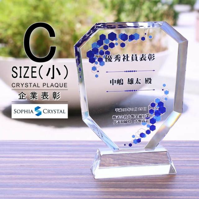 トロフィー クリスタル 盾 DP-2C(小) 名入れ 記念品 表彰状 表彰 盾 表彰楯 卒業 感謝 退職記念 周年記念 創立記念 ゴルフコンペ ホールインワン スポーツ大会 イベント 優勝 トロフィ とろふぃ プレゼント ギフト.
