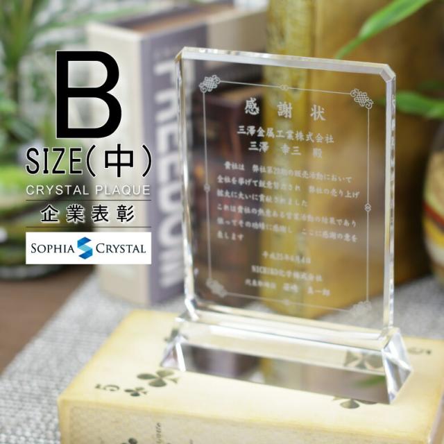 トロフィー クリスタル 盾 DP-4B(中) 名入れ 記念品 表彰状 表彰 盾 表彰楯 卒業 感謝 退職記念 周年記念 創立記念 ゴルフコンペ ホールインワン スポーツ大会 各種イベント 優勝 トロフィ とろふぃ とろふぃー プレゼント ギフト.