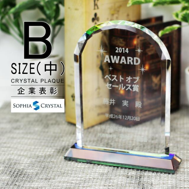 トロフィー クリスタル 盾 DP-6B(中) 名入れ 記念品 表彰状 表彰 盾 表彰楯 卒業 感謝 退職記念 周年記念 創立記念 ゴルフコンペ ホールインワン スポーツ大会 各種イベント 優勝 トロフィ とろふぃ とろふぃー プレゼント ギフト.