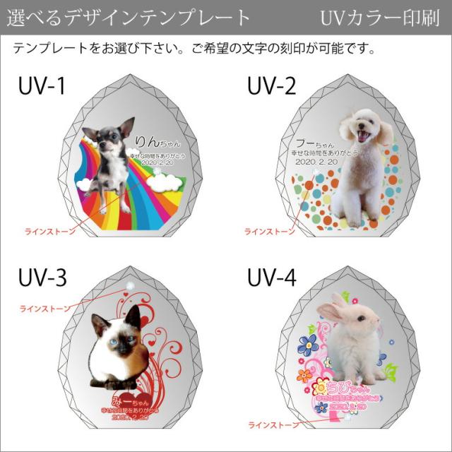 ペット 位牌 KP-28B(中) 写真 カラー 両面印刷 誕生石 フォト 遺影 仏具 供養 ペットメモリアル お位牌 手元供養 仏壇 葬儀 49日 虹の橋 名入れ 彫刻 ダイヤ クリスタル ガラス かわいい キラキラ きれい 犬 猫 うさぎ インコ ハムスター 小動物._6