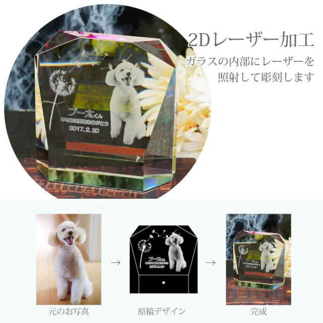 ペット 位牌 仏具セット KP-3-ASET（大）クリスタル 写真 カラー 両面印刷 誕生石 レーザー 彫刻 フォト 遺影 供養 ペットメモリアル 陶器 手元供養 仏壇 葬儀 49日 虹の橋 思い出 おもいでのあかし パステル かわいい 犬 猫 うさぎ インコ 小動物._7