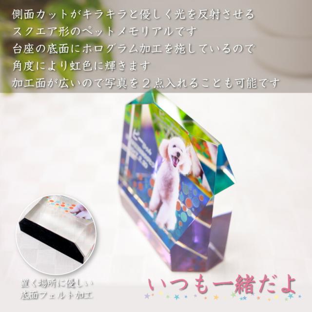 ペット 位牌 仏具セット KP-3-ASET（大）クリスタル 写真 カラー 両面印刷 誕生石 レーザー 彫刻 フォト 遺影 供養 ペットメモリアル 陶器 手元供養 仏壇 葬儀 49日 虹の橋 思い出 おもいでのあかし パステル かわいい 犬 猫 うさぎ インコ 小動物._1